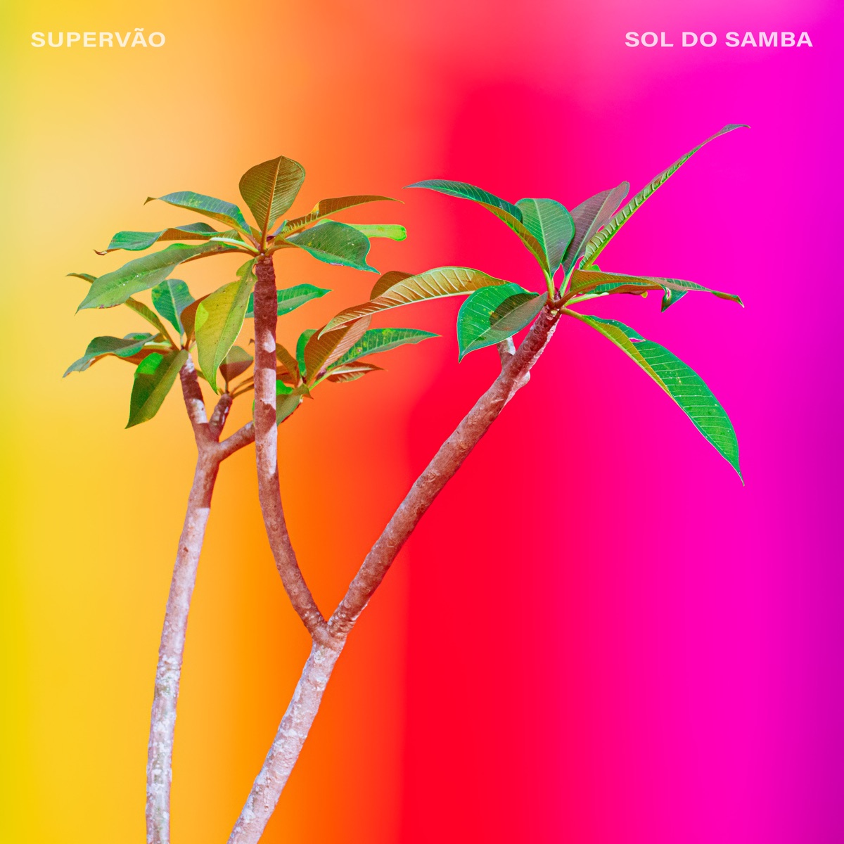 Sol do Samba - Single by Supervão album cover