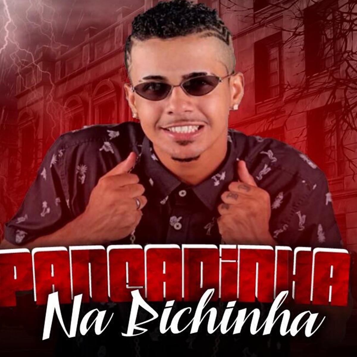 Pancadinha na Bixinha - Single by Mc Caso Novamente album cover