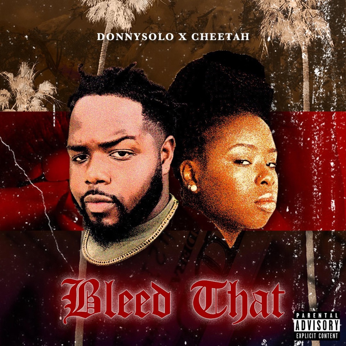 Bleed That (feat. Cheetah) - Single by DonnySolo album cover