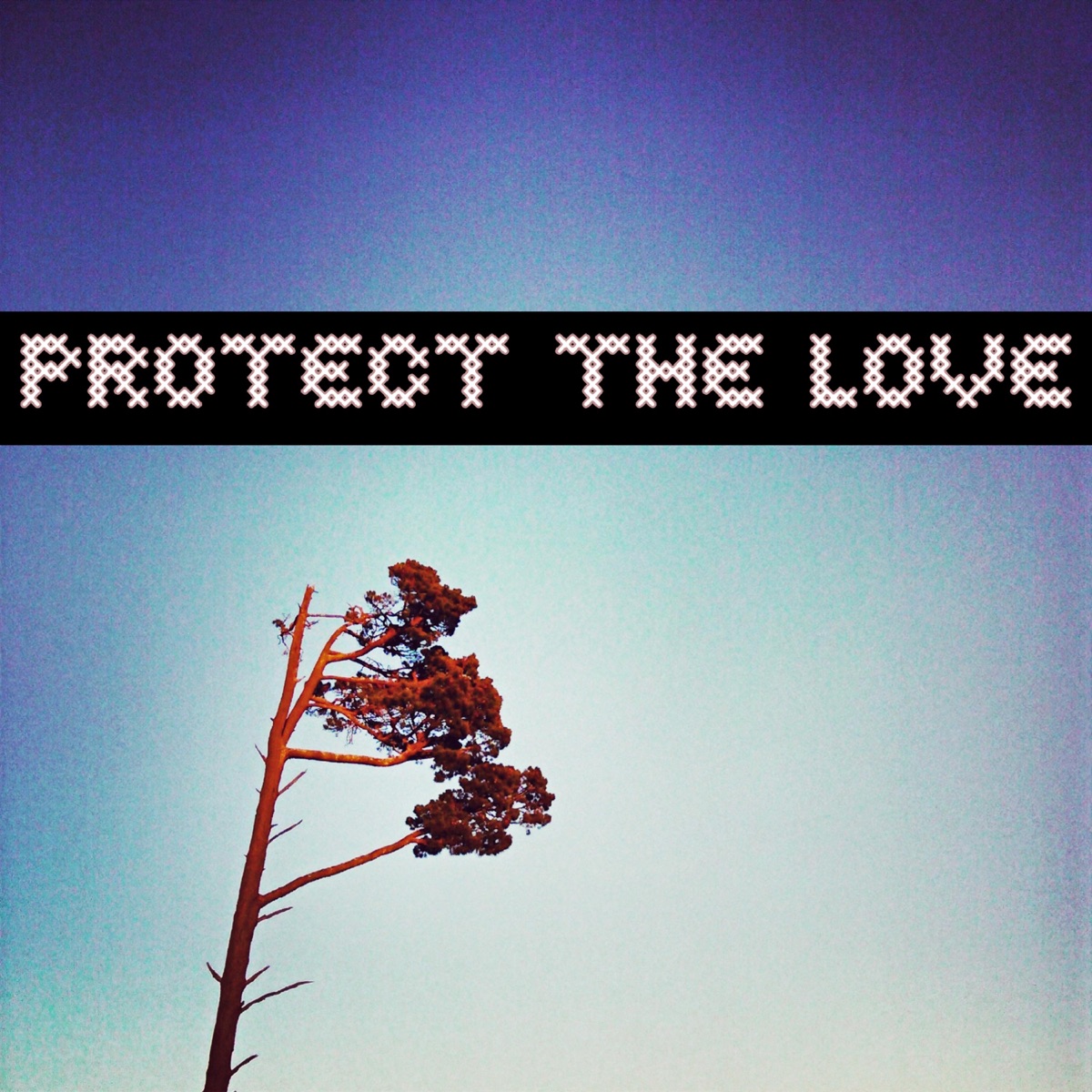 Protect the Love (feat. Naano) - Single by vj gabi album cover