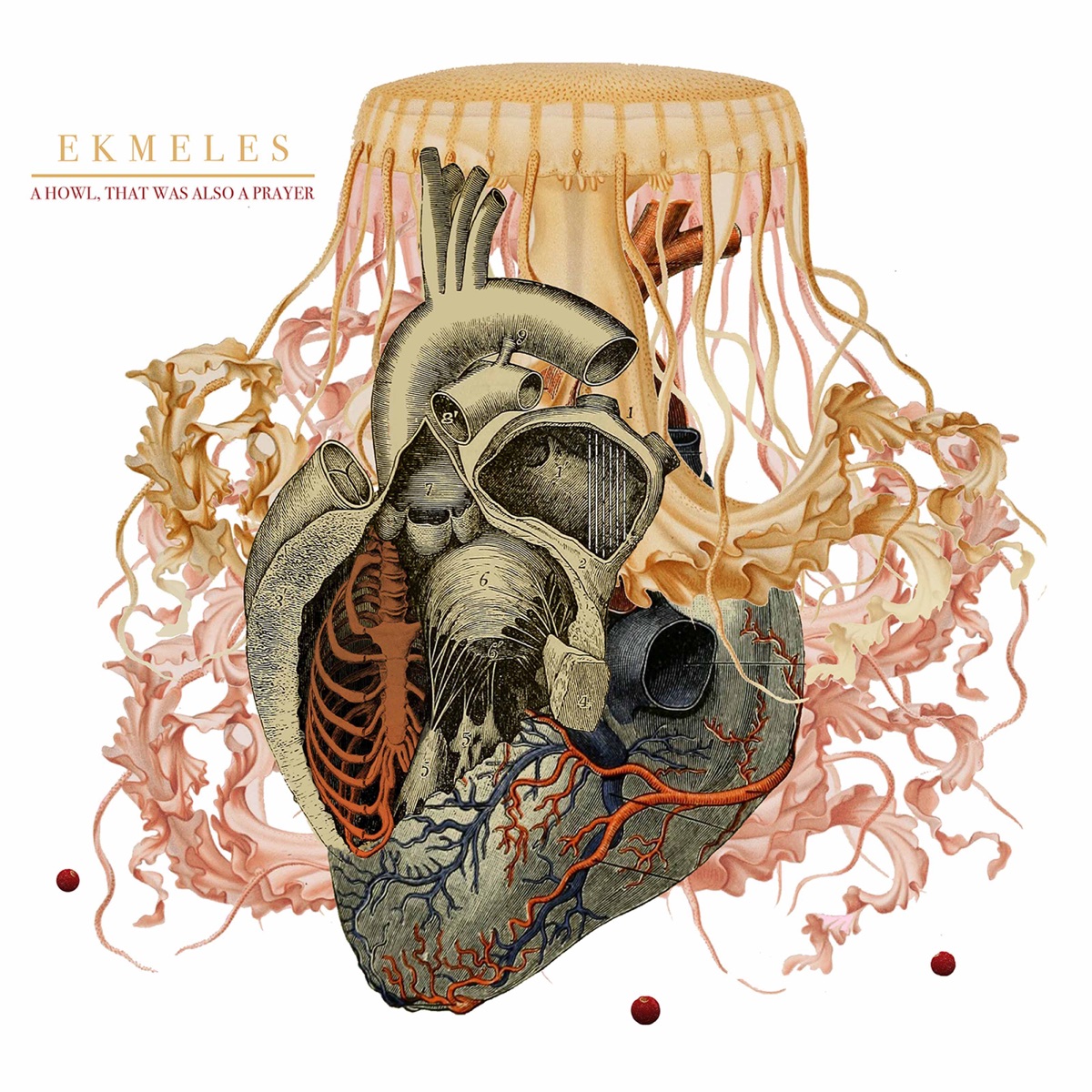 A Howl, That Was Also a Prayer by Ekmeles album cover