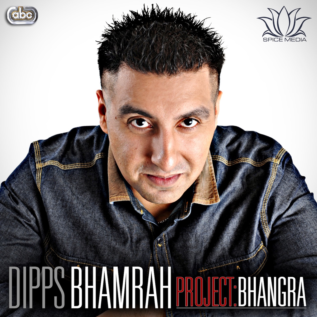 Project: Bhangra by Dipps Bhamrah album cover