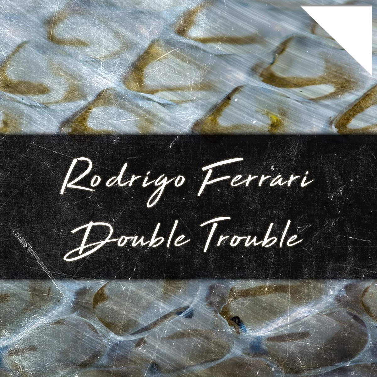Double Trouble - Single by Rodrigo Ferrari album cover