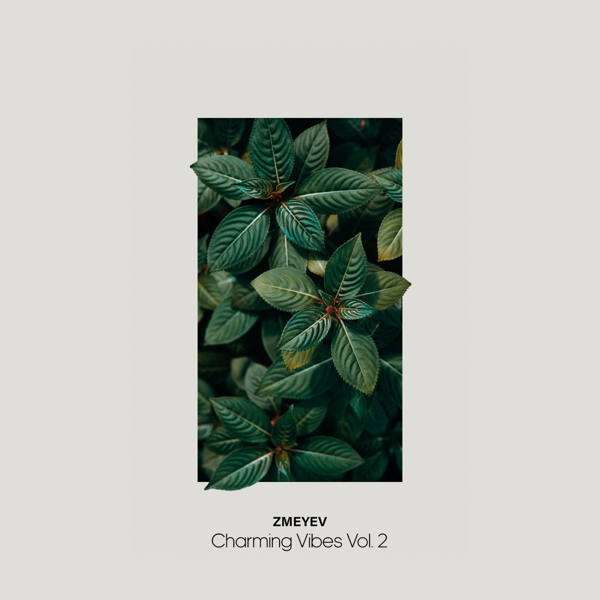 Charming Vibes, Vol. 2 - EP by Zmeyev album cover