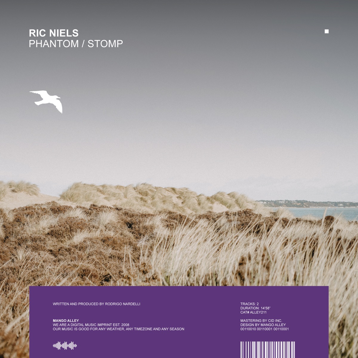 Phantom / Stomp - Single by Ric Niels album cover