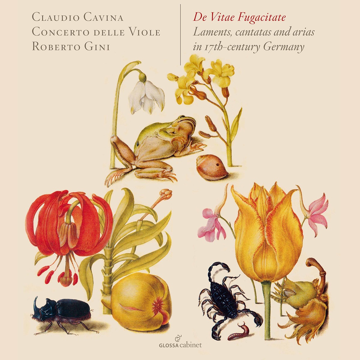 De Vitae Fugacitate by Claudio Cavina, Concerto delle Viole & Roberto Gini album cover