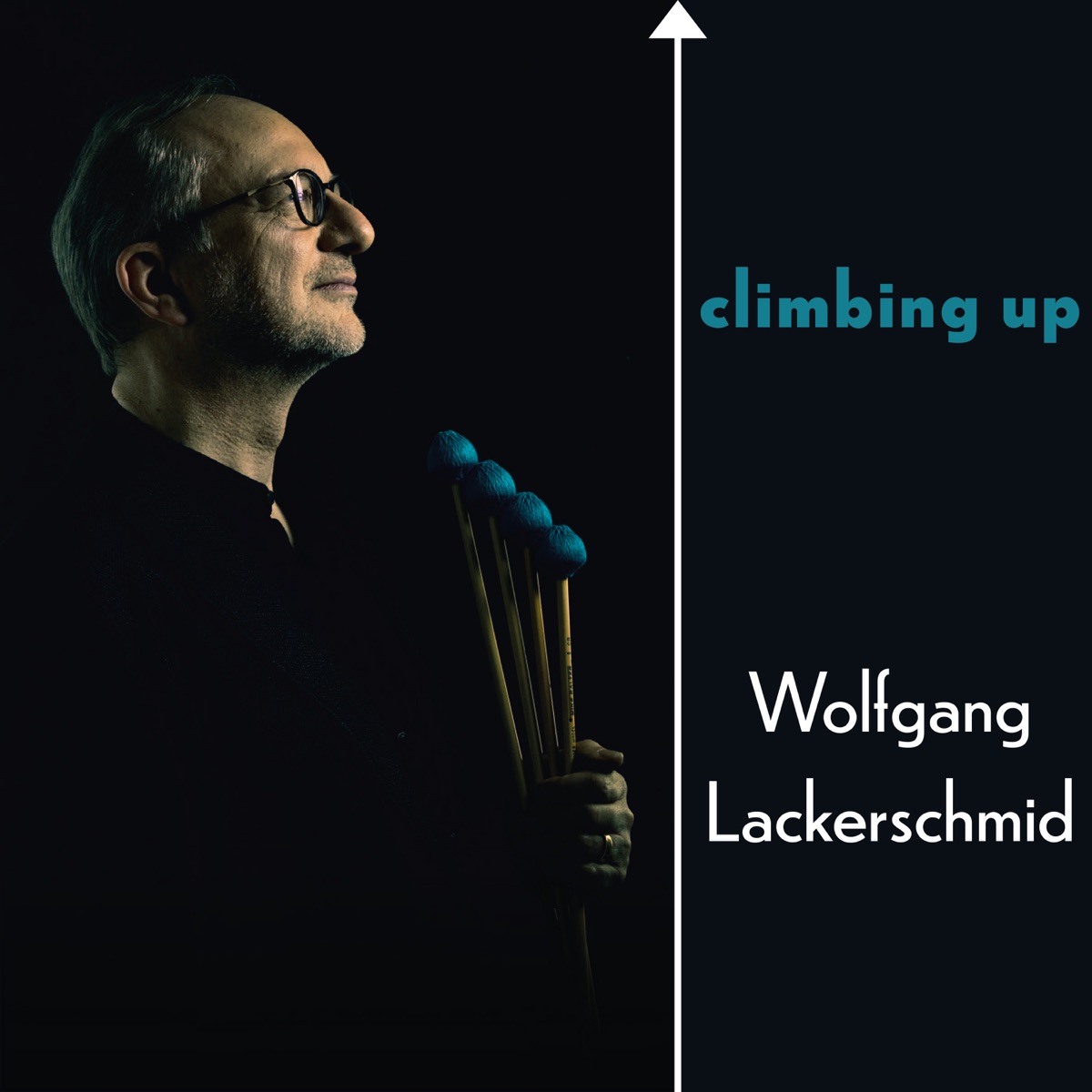 Climbing Up (feat. Ryan Carniaux, Stefan Rademacher & Guido May) - Single by Wolfgang Lackerschmid album cover