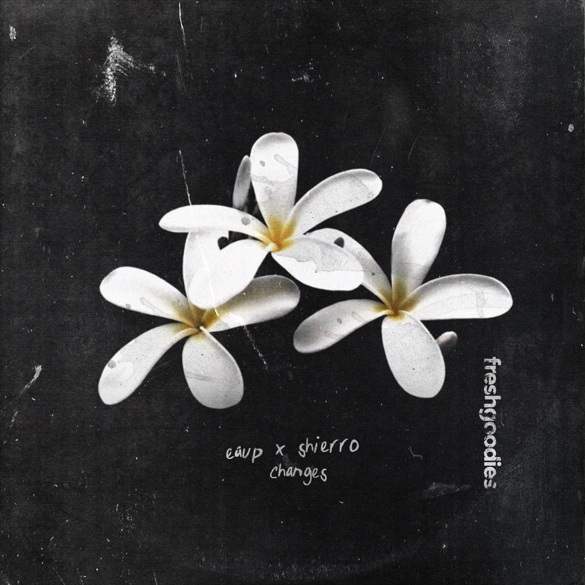 Changes - Single by eaup & Shierro album cover