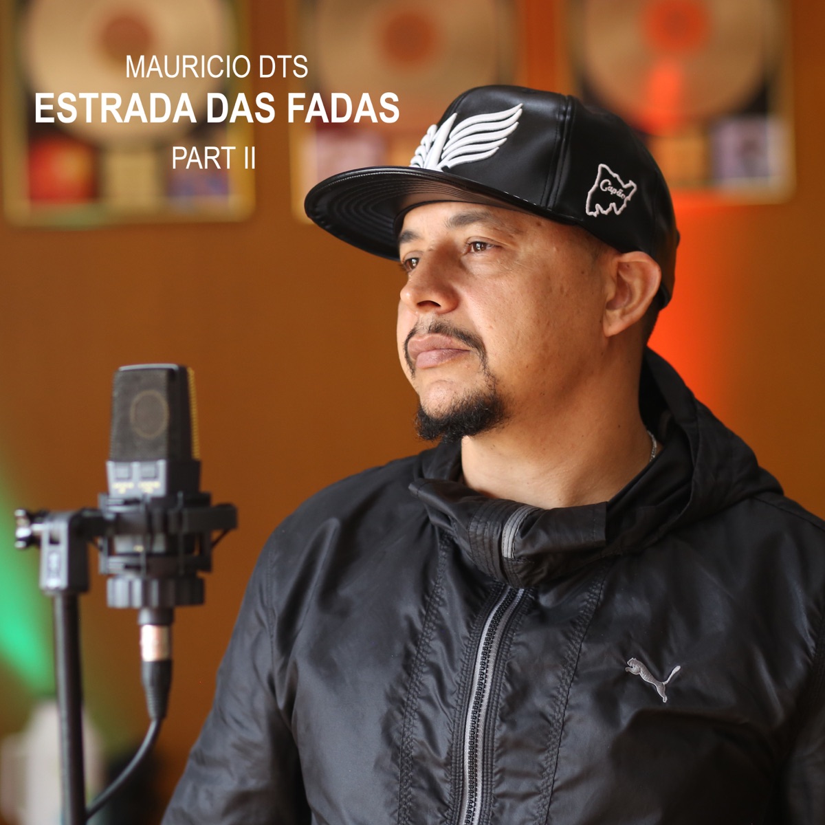 Estrada das Fadas Part II - Single by Mauricio DTS album cover