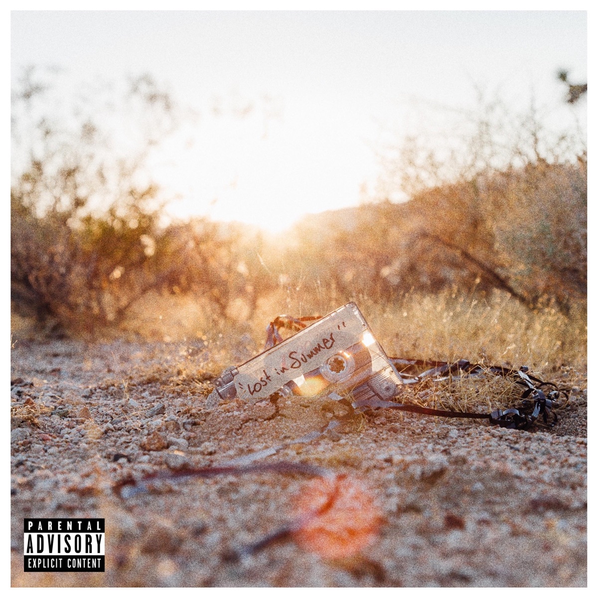 Lost in Summer by Joe Maynor album cover