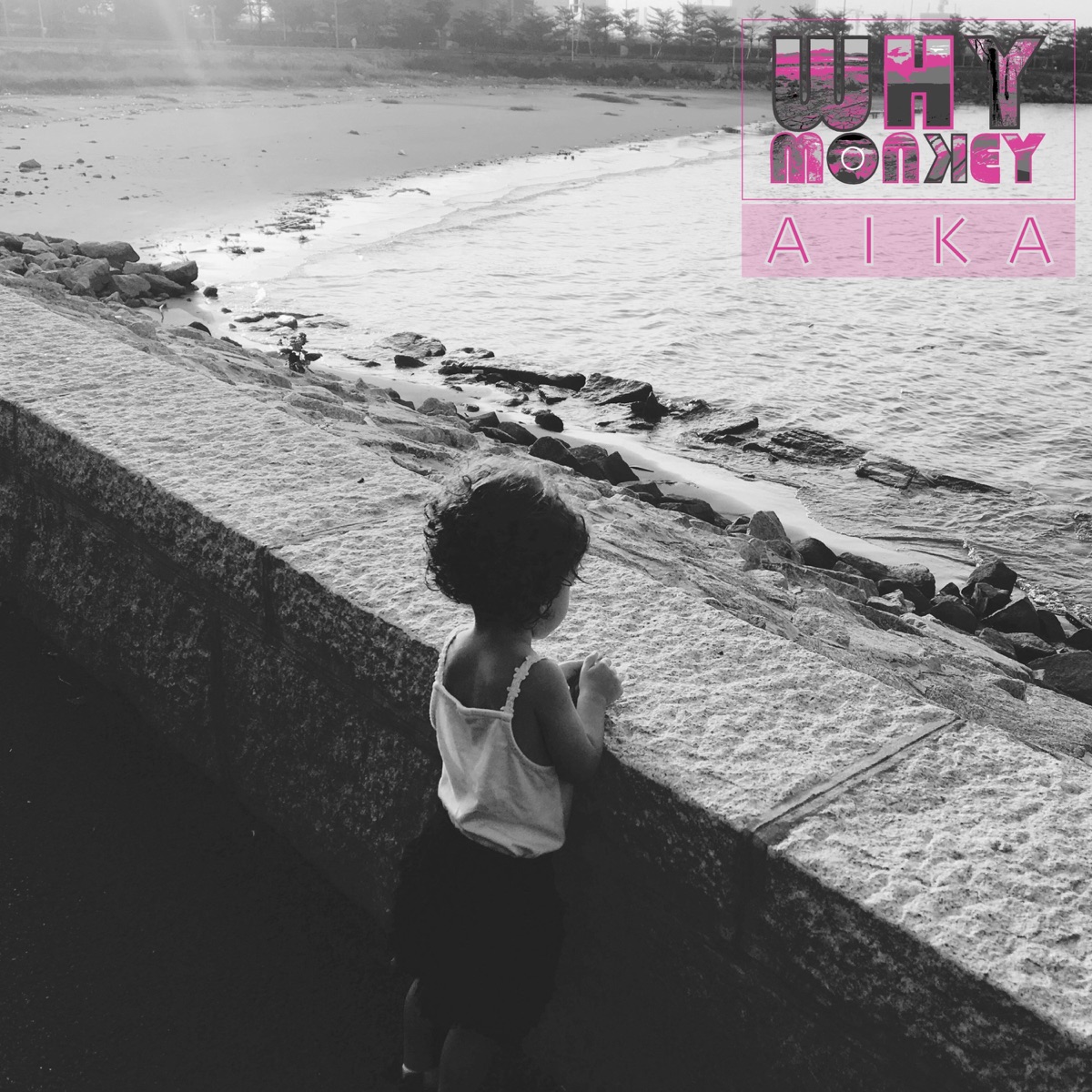 Aika - EP by Why Monkey album cover