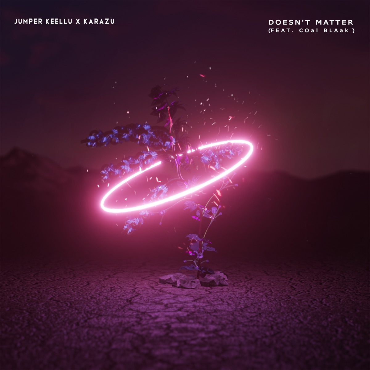 Doesn't Matter (feat. COAaL BLAak) - Single by jumper keellu & Karazu album cover