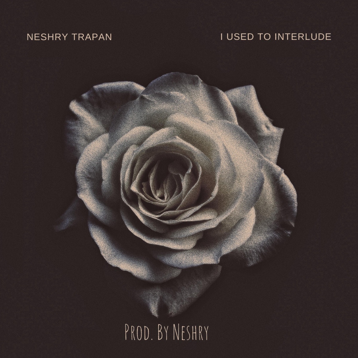I Used To Interlude - Single by Neshry Trapan album cover