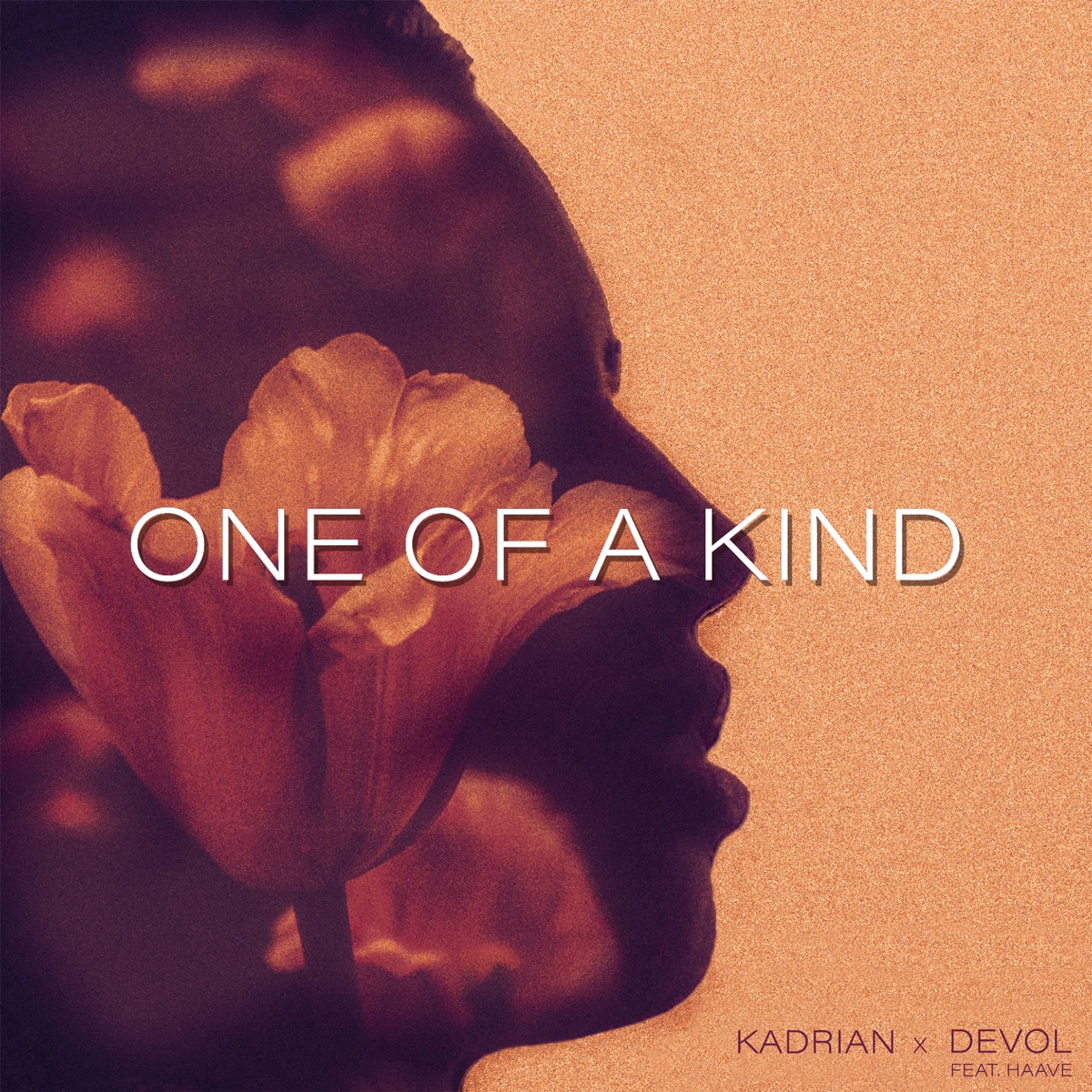 One of a Kind - Single by DEVOL, Kadrian & HAAVE album cover
