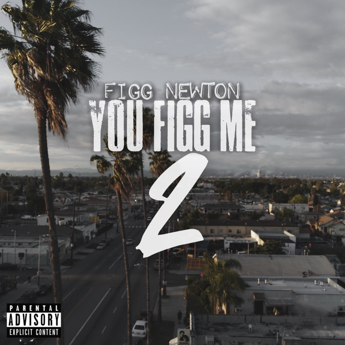 You Figg Me 2 by Figg Newton album cover