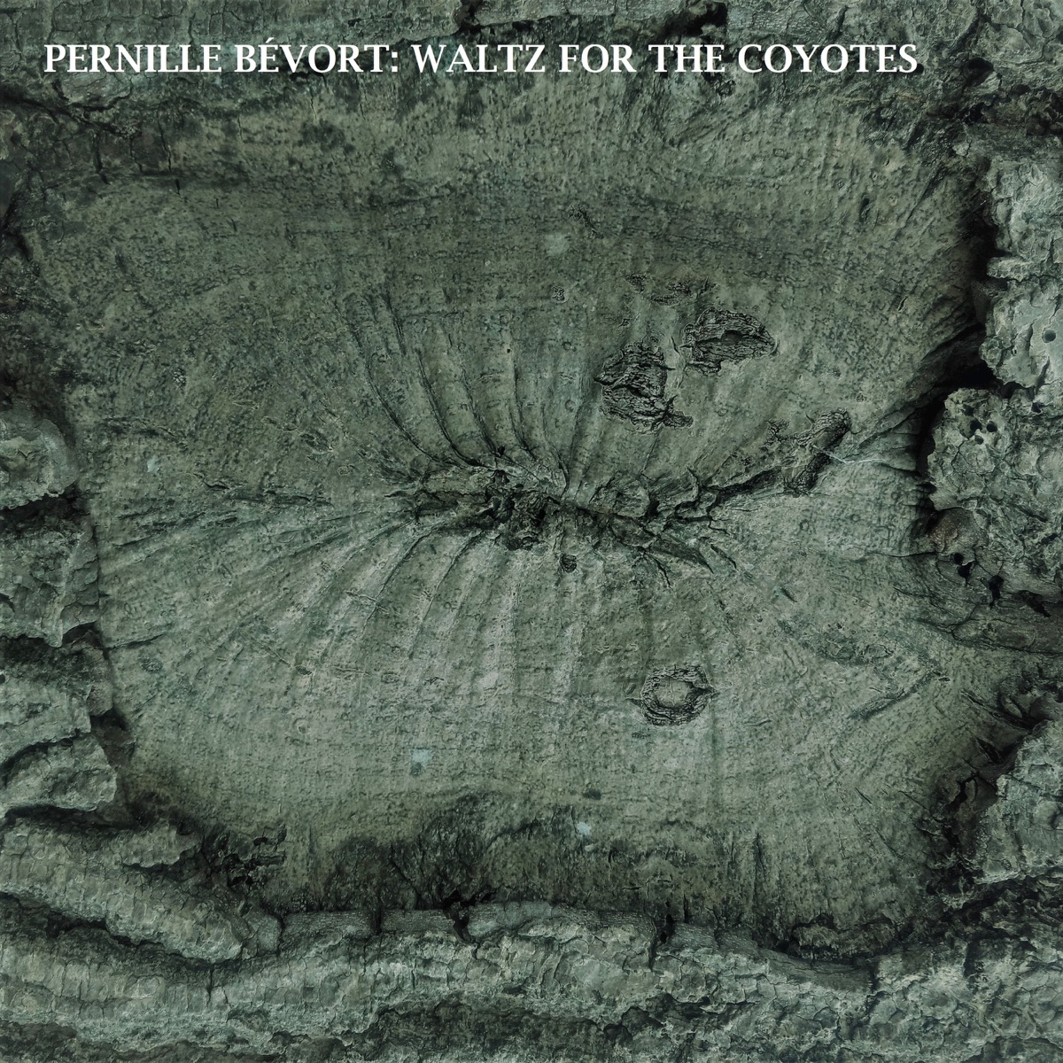 Waltz for the Coyotes (feat. Pelle Fridell, Per Gade, Kjeld Lauritsen, Niels Præstholm & Karsten Bagge) - Single by Pernille Bévort album cover