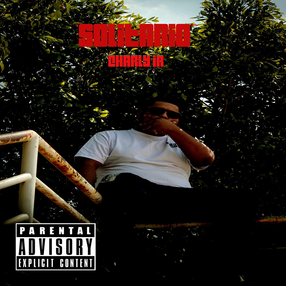 Solitario - Single by Charly IR album cover
