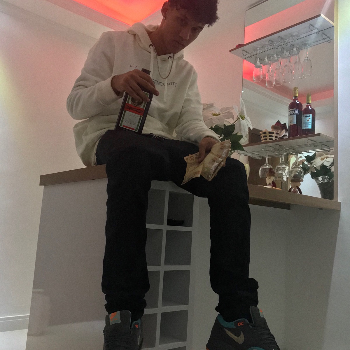 Camarim - Single by LITBOYVP album cover