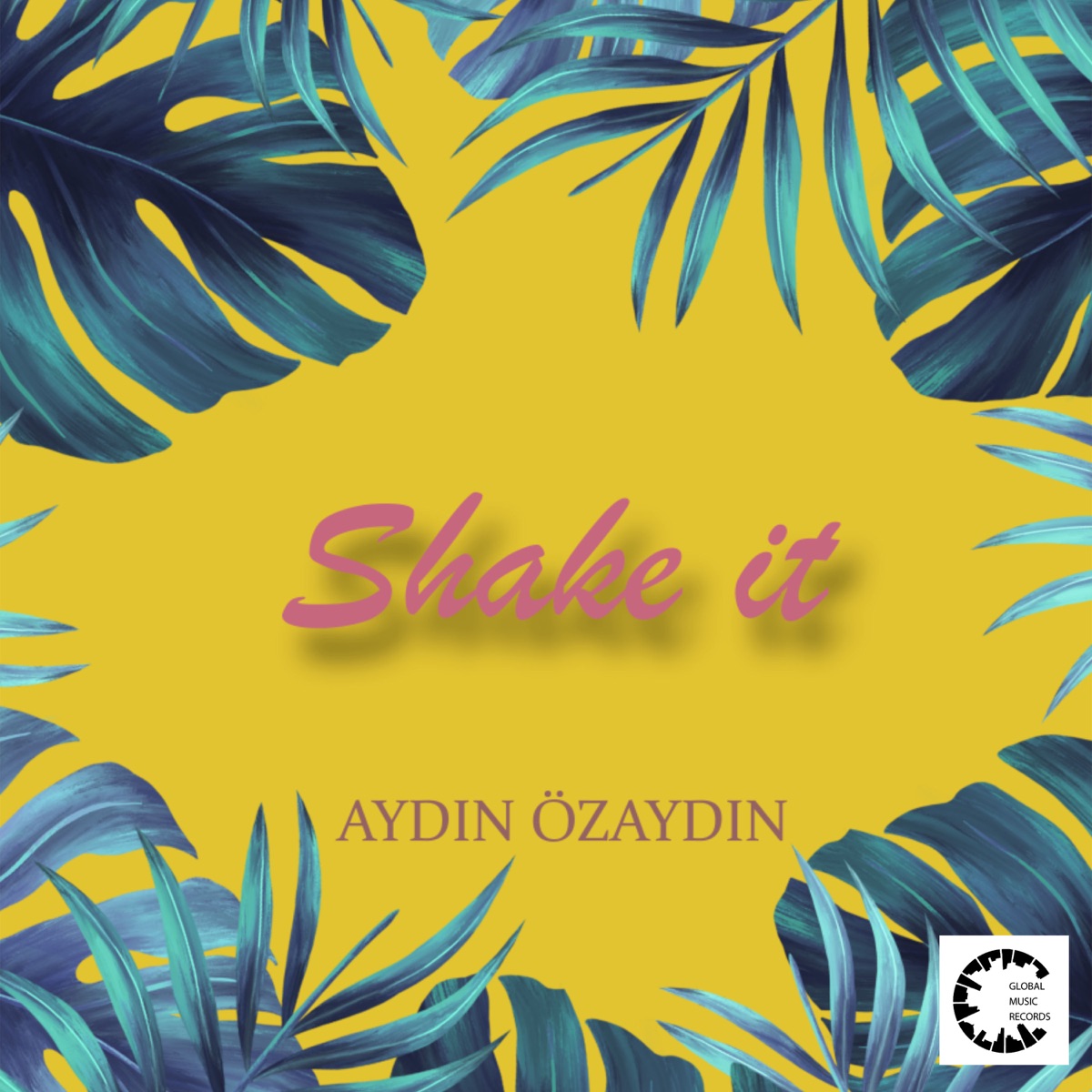 Shake It - Single by Aydin Özaydin album cover