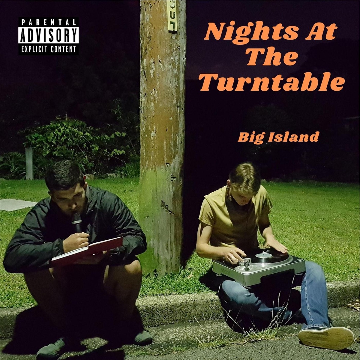 Nights at the Turntable by Big Island album cover