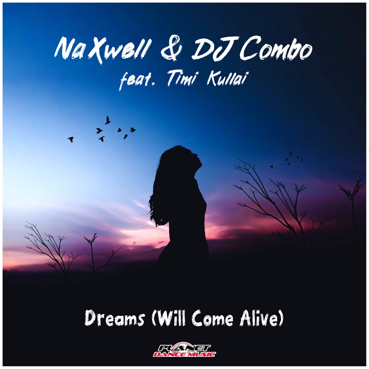 Dreams (Will Come Alive) [feat. Timi Kullai] - Single by Naxwell & DJ Combo album cover