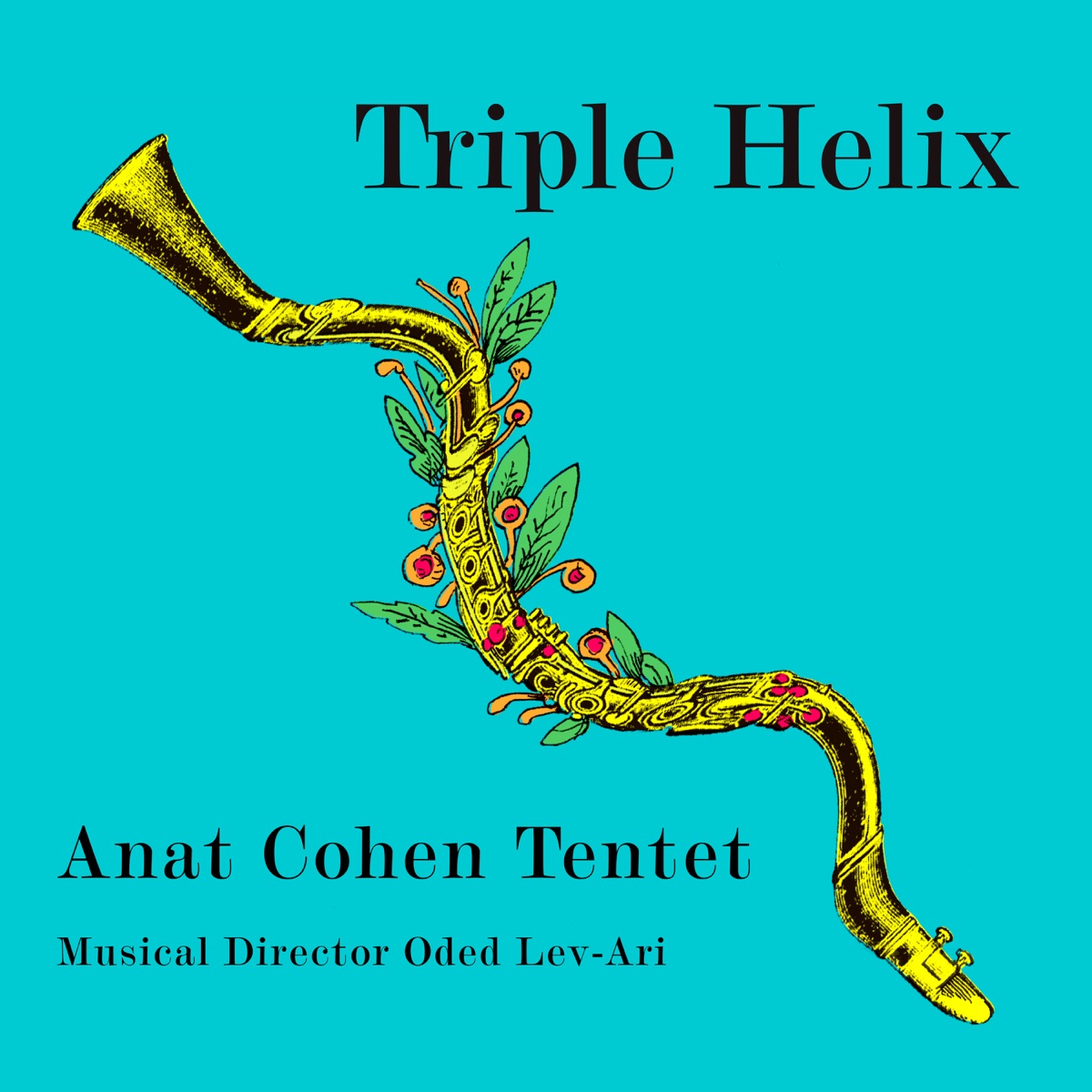 Triple Helix by Anat Cohen album cover