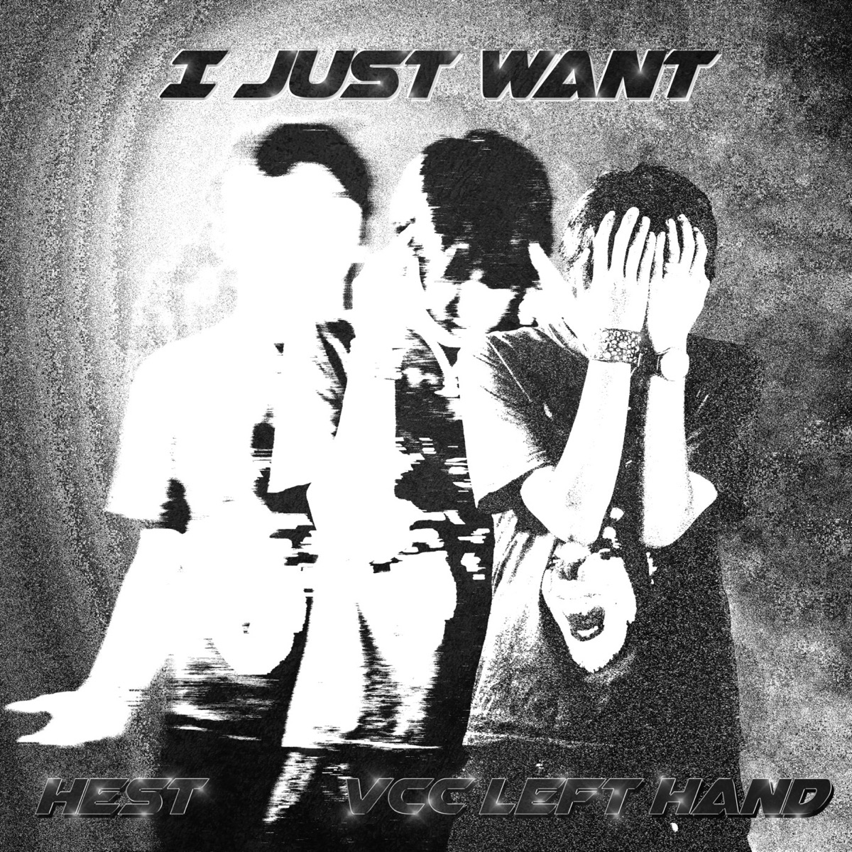 I Just Want - Single by HEST & VCC Left Hand album cover