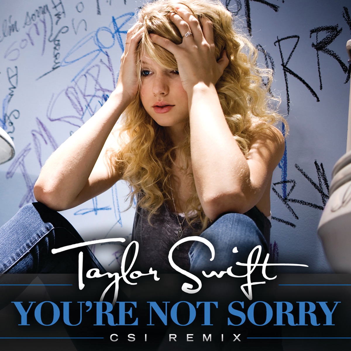 You're Not Sorry (CSI Remix) - Single by Taylor Swift album cover artwork