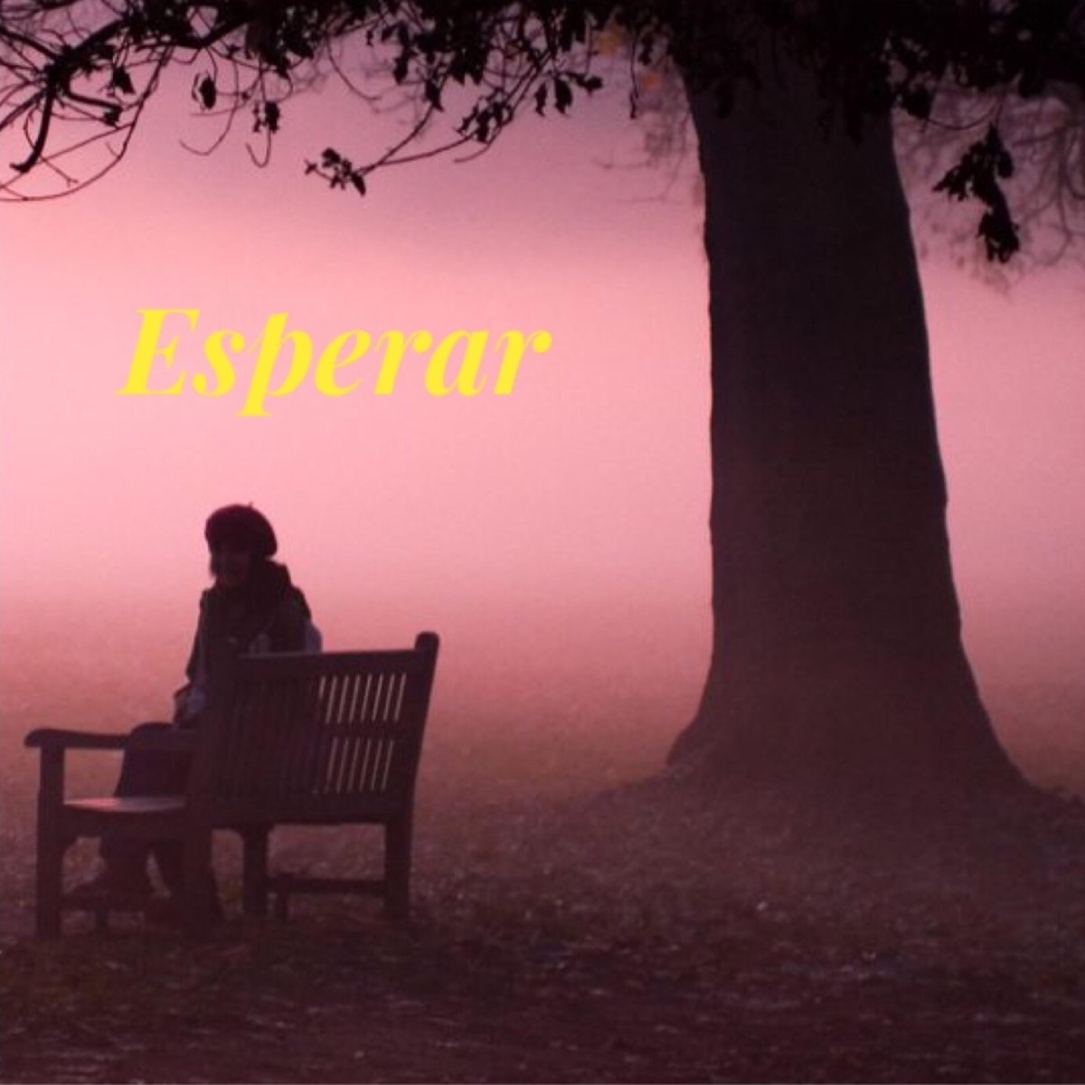 Esperar - Single by Warma album cover