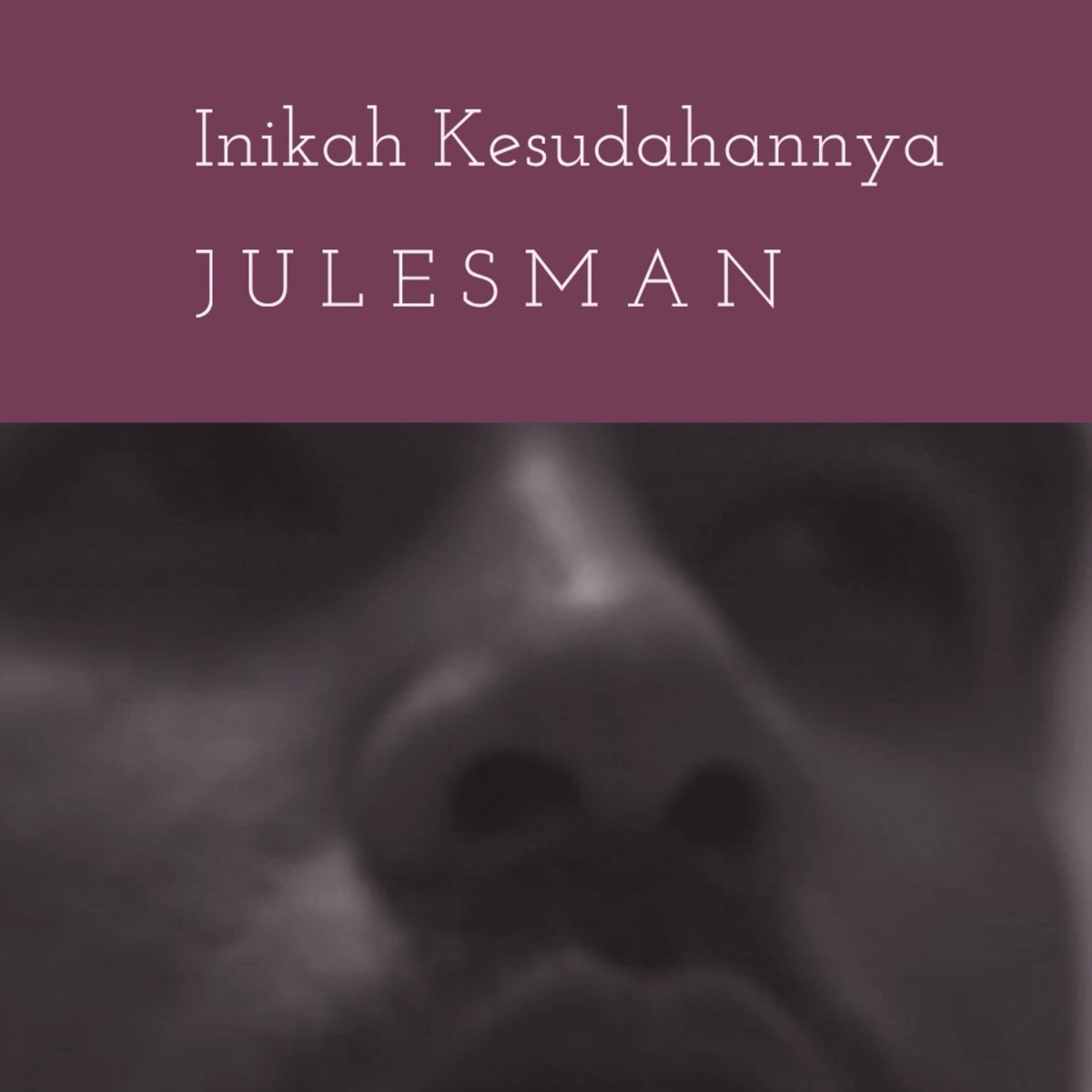 Inikah Kesudahannya - Single by Julien Julesman Sham album cover