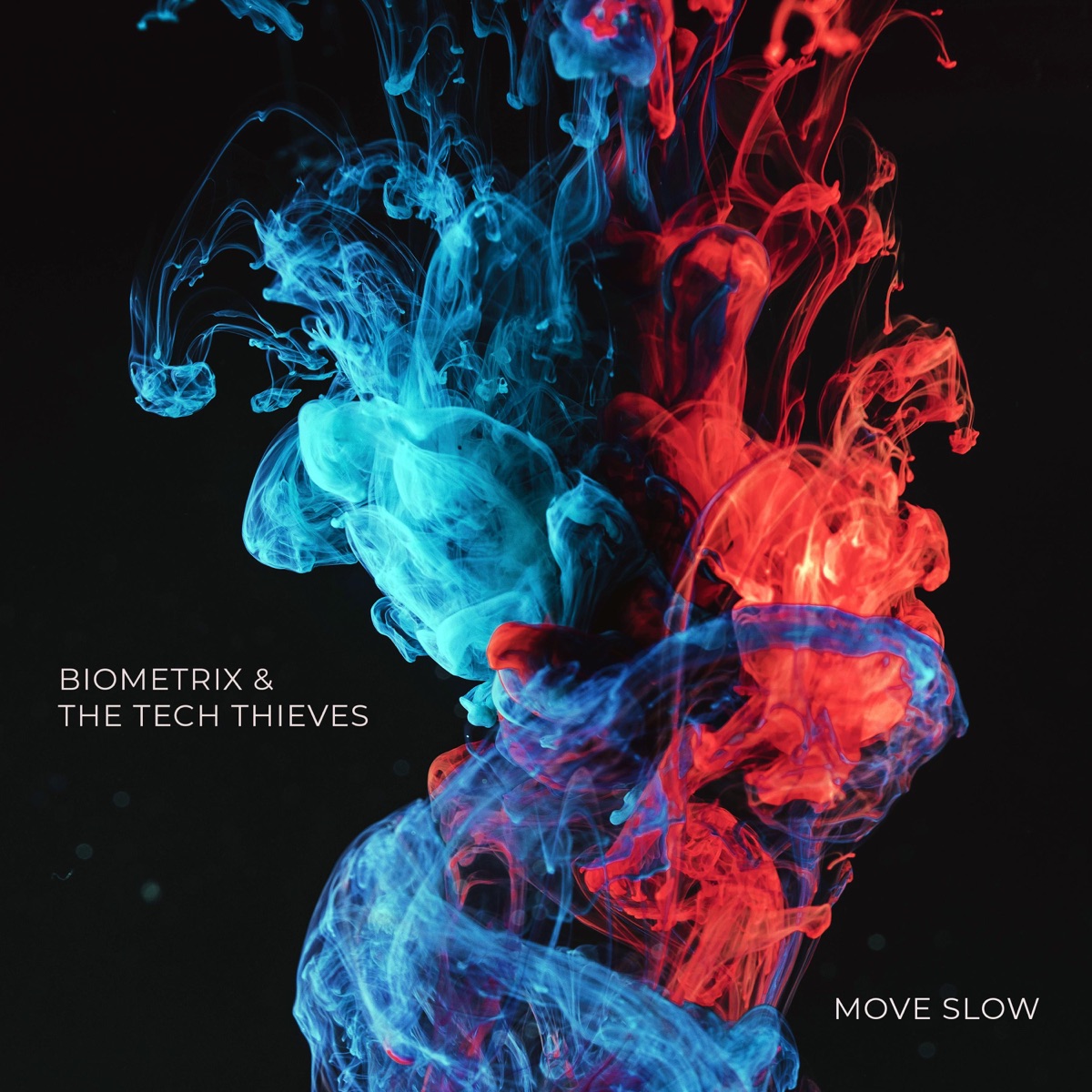Move Slow - Single by The Tech Thieves & Biometrix album cover