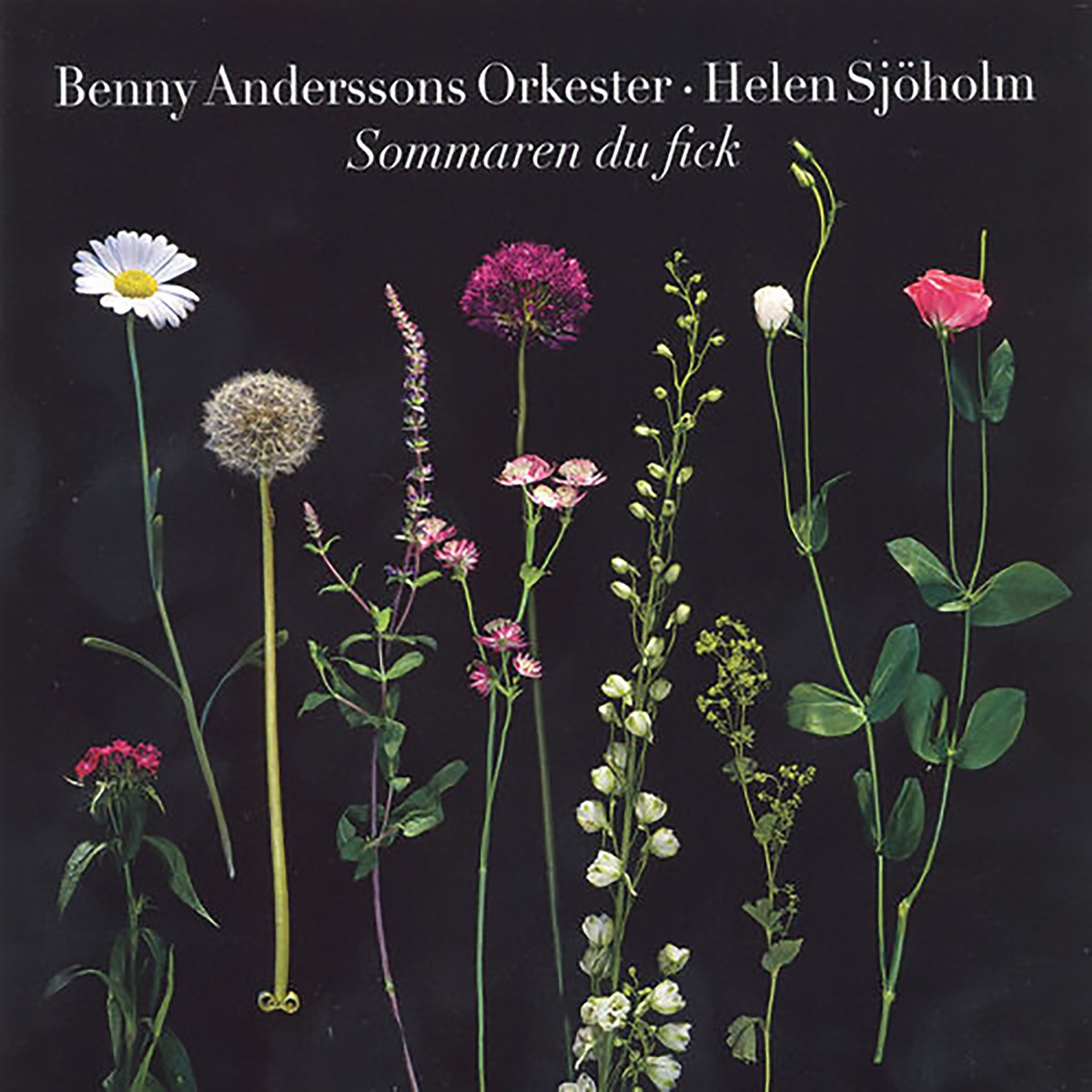 Sommaren du fick - Single by Benny Anderssons Orkester & Helen Sjöholm album cover