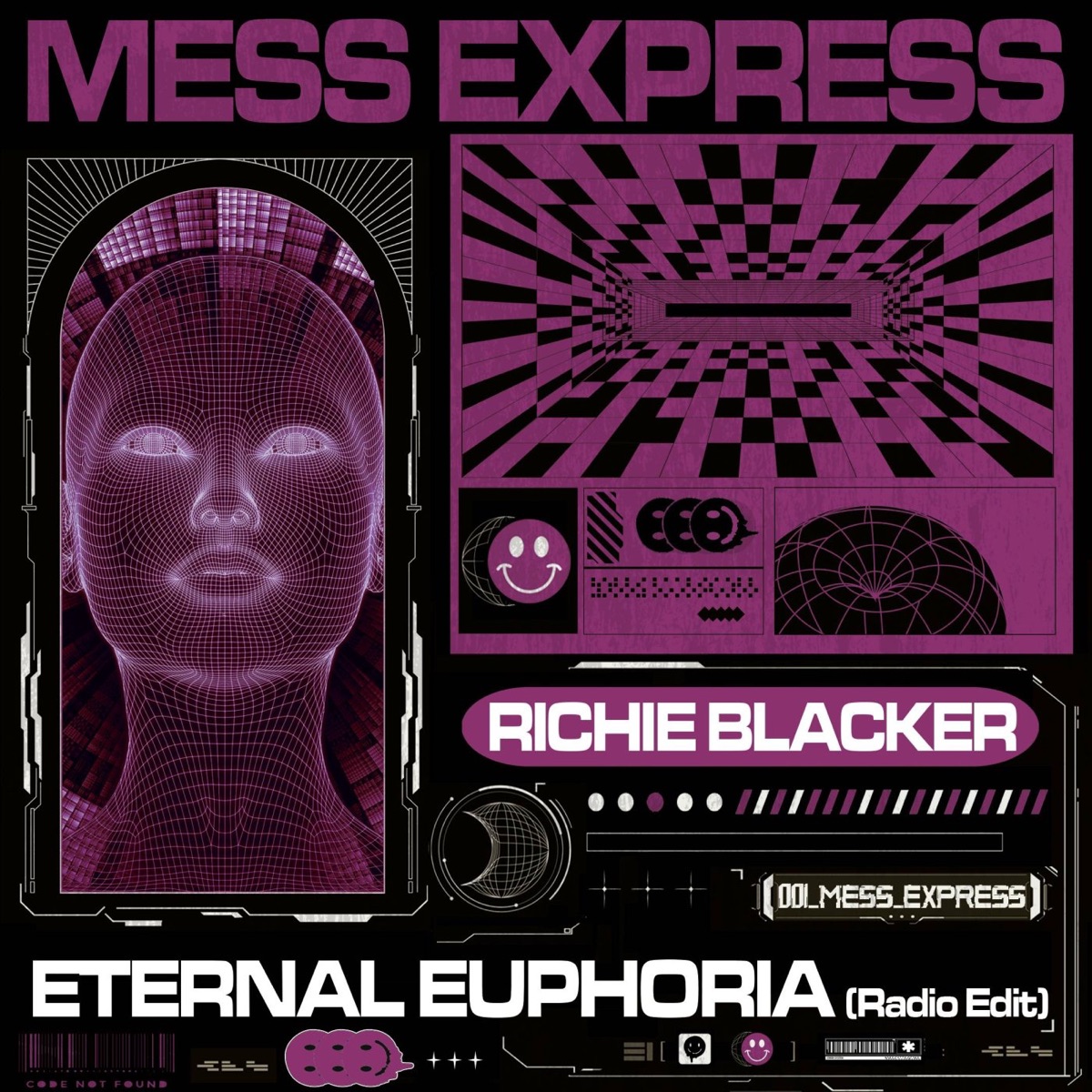 Eternal Euphoria - Single by Richie Blacker album cover