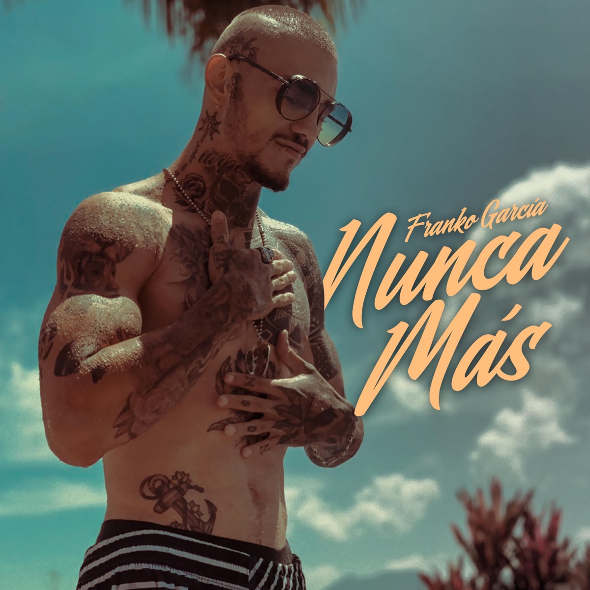 Nunca Mas - Single by Franko Garcia album cover