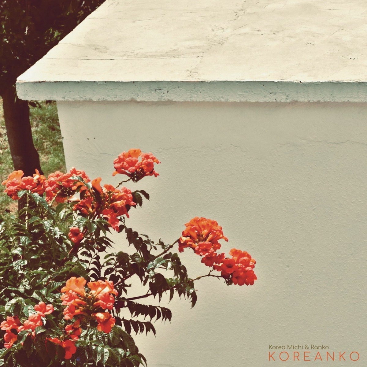 Amsterdam Genetics - Single by Korea Michi & Ranko album cover