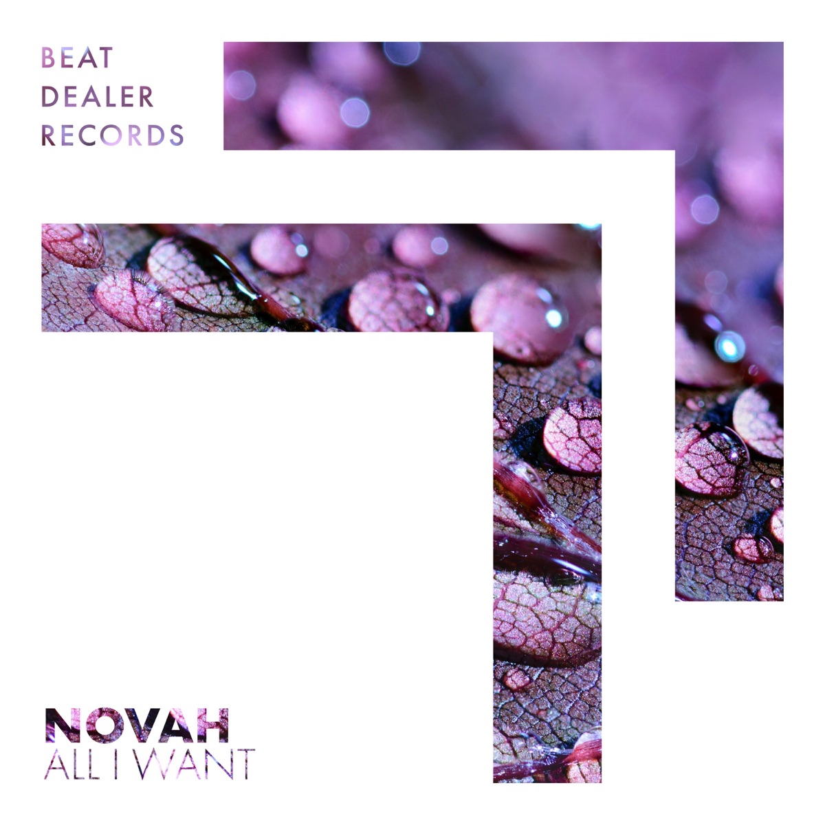 All I Want - Single by Novah album cover