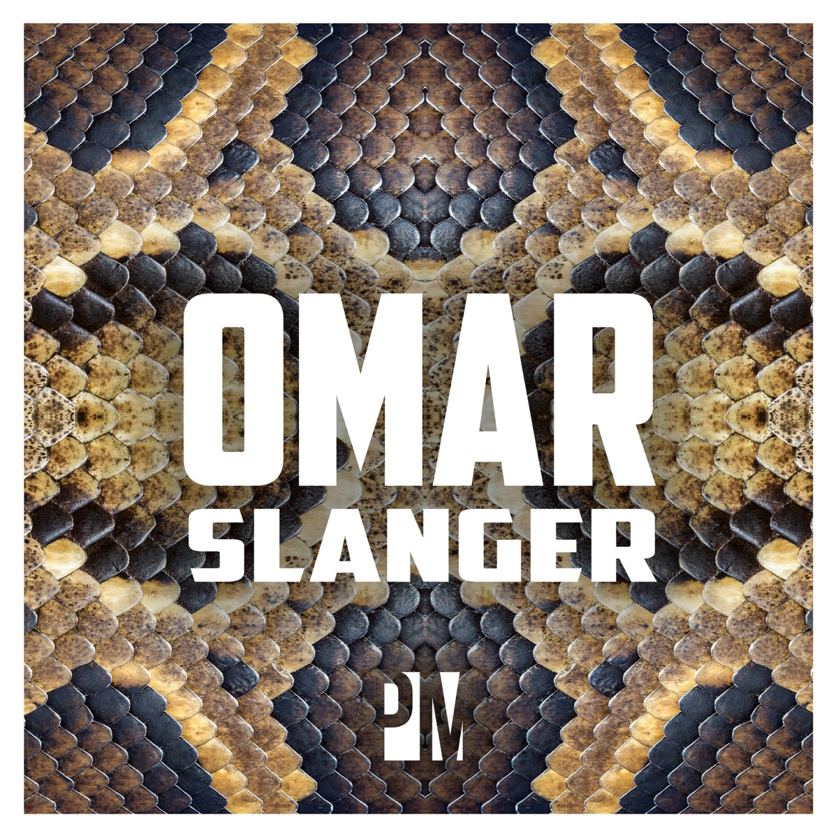 Slanger (feat. Pay) - Single by Omar album cover