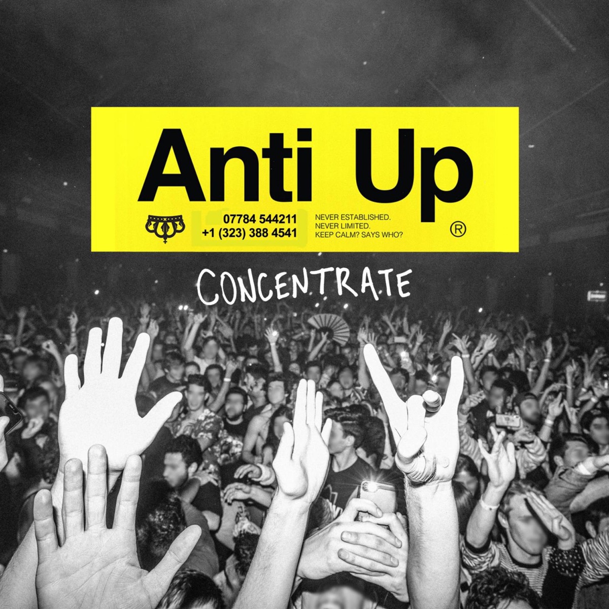 Concentrate - Single by Anti Up album cover