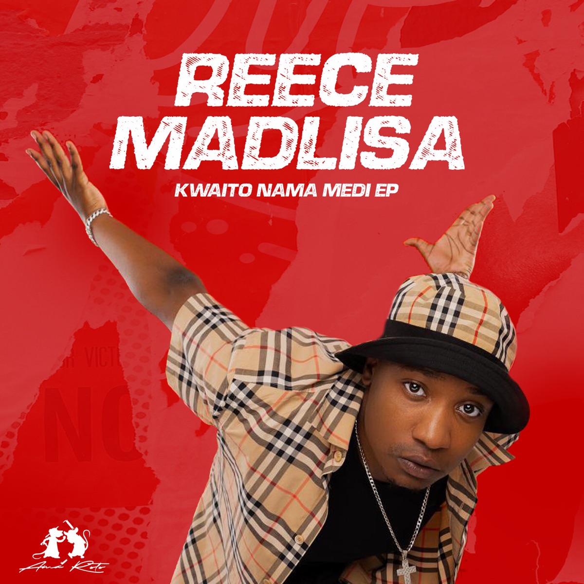 Kwaito Nama Medi by Reece Madlisa album cover