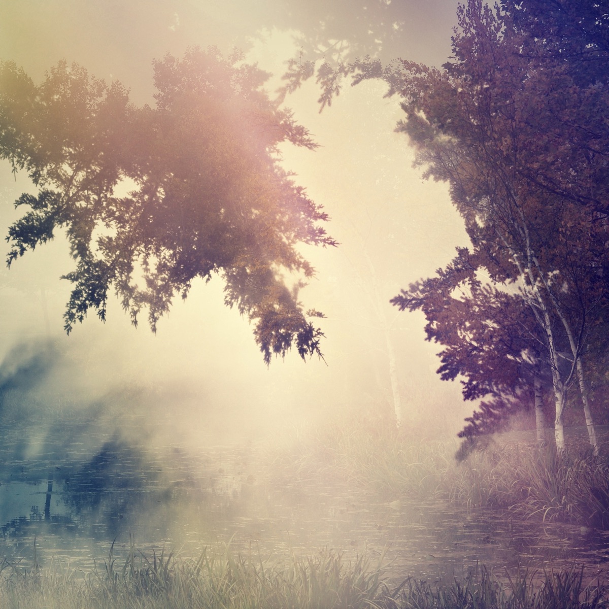 Violante (Lost in a Dream) by Purl album cover
