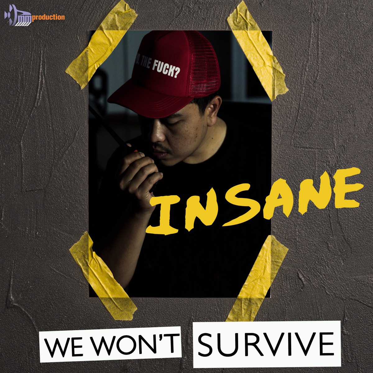 We Won't Survive by Insane album cover