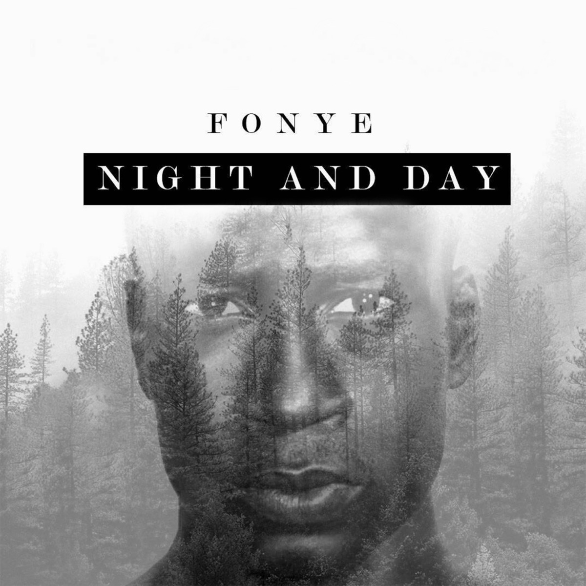 Night and Day - Single by Fonye album cover