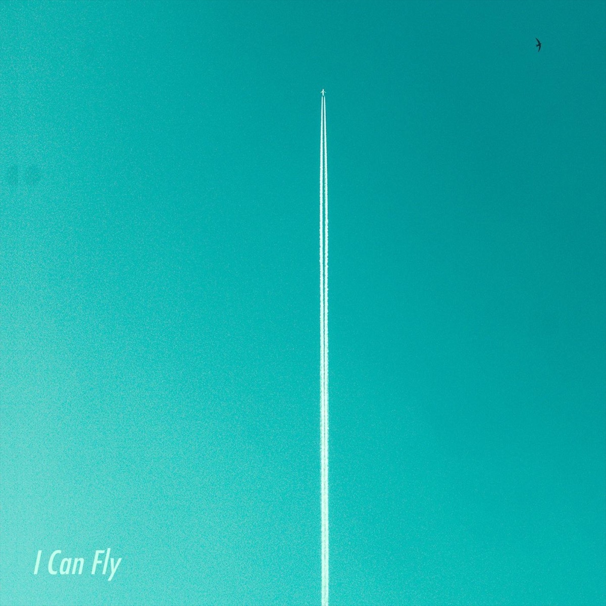 I Can Fly - Single by Hook Shop album cover