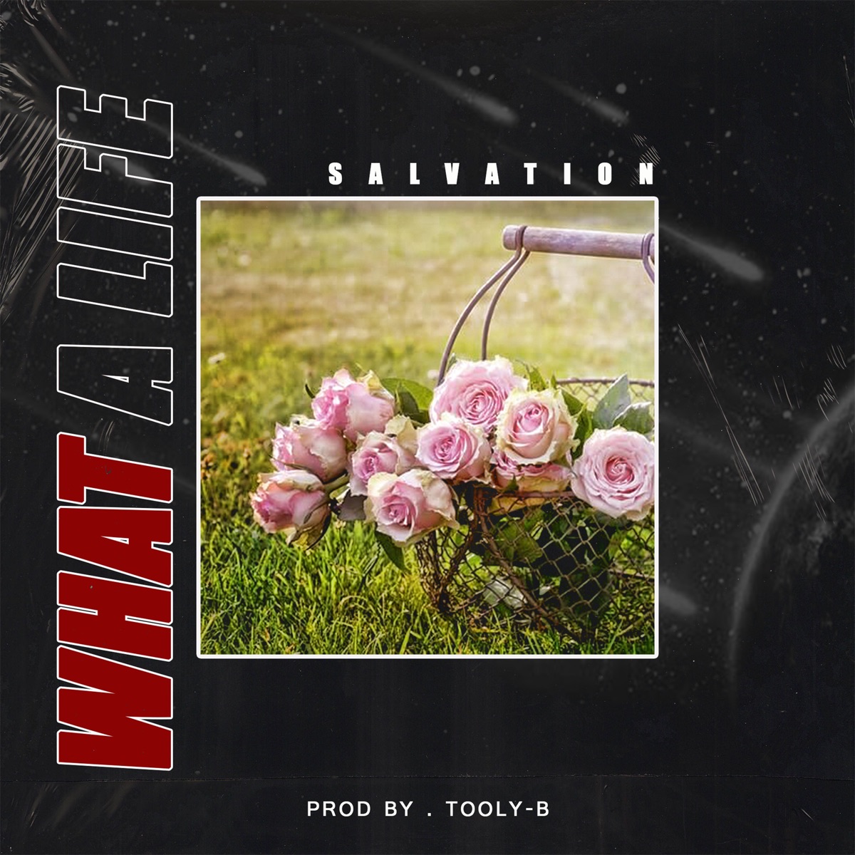 What a Life - Single by Salvation album cover