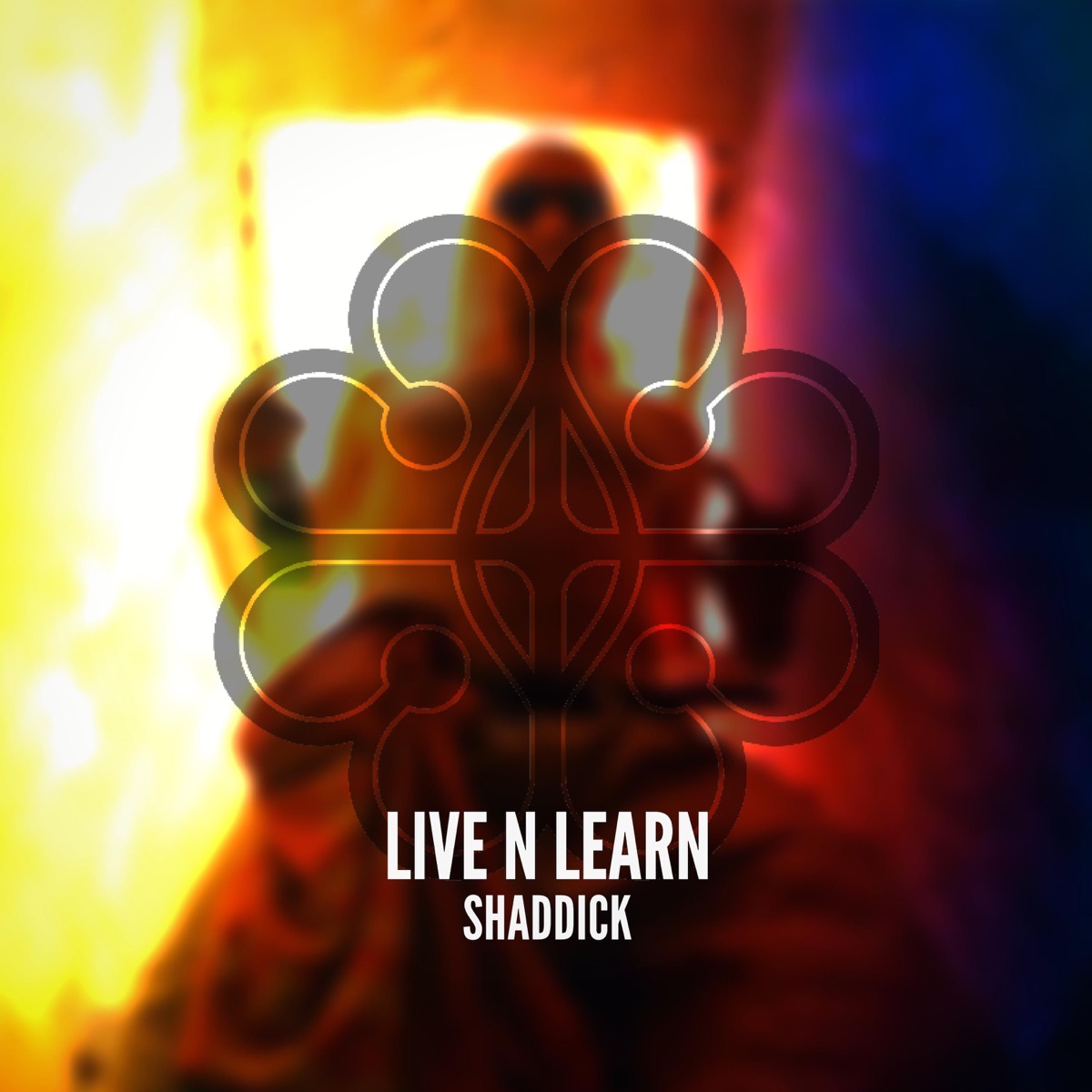 Live N Learn (Live) - Single by Shaddick album cover