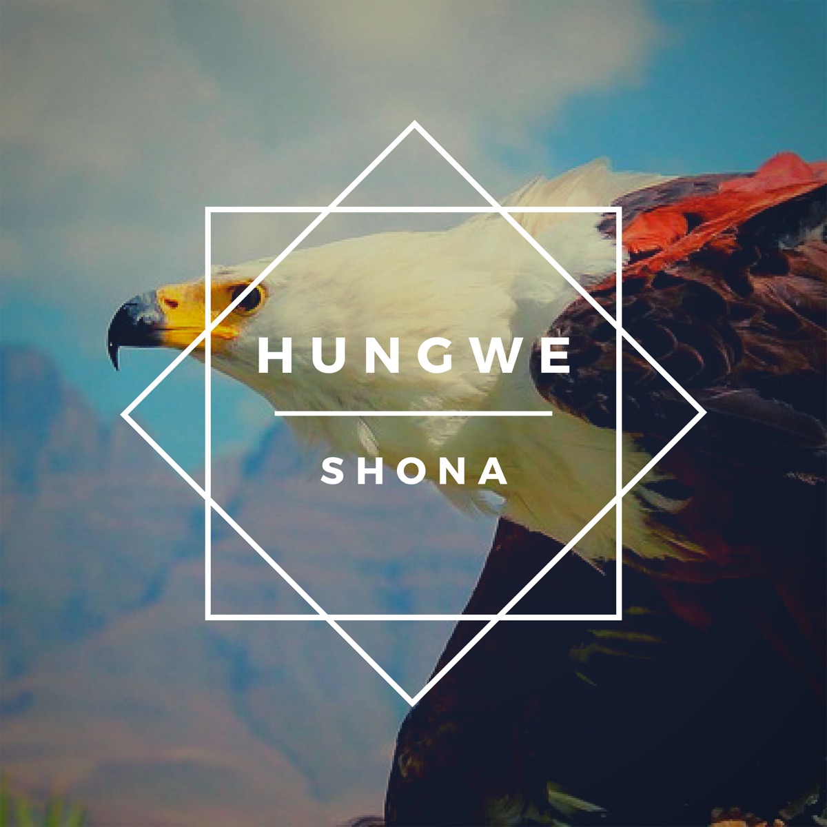 Hungwe by Shona SA album cover