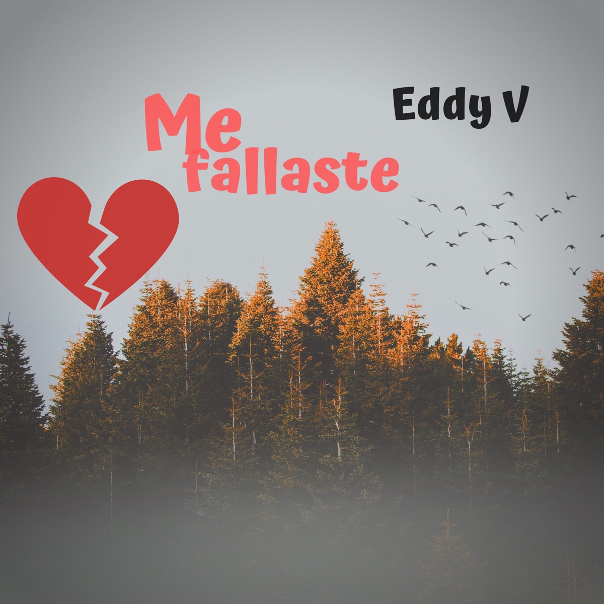 Me fallaste - Single by Eddy V. album cover