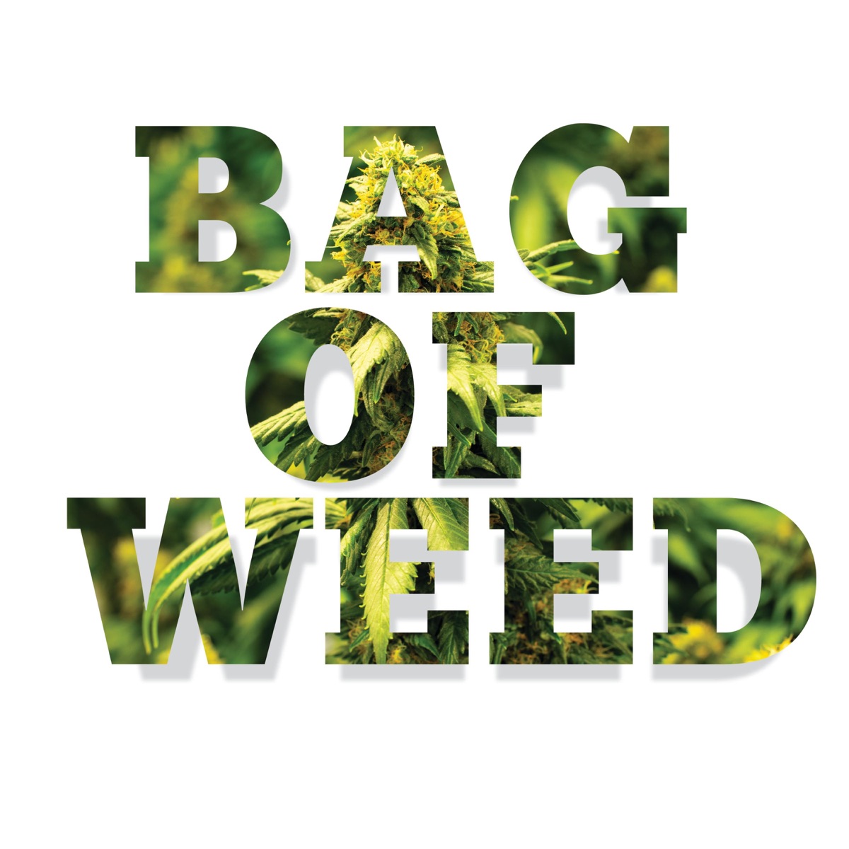 Bag of Weed (feat. Slow G.) - Single by Scanlous album cover