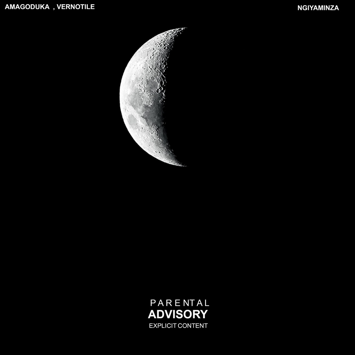 Ngiyaminza (feat. Vernotile) - Single by Leverage_A1 album cover