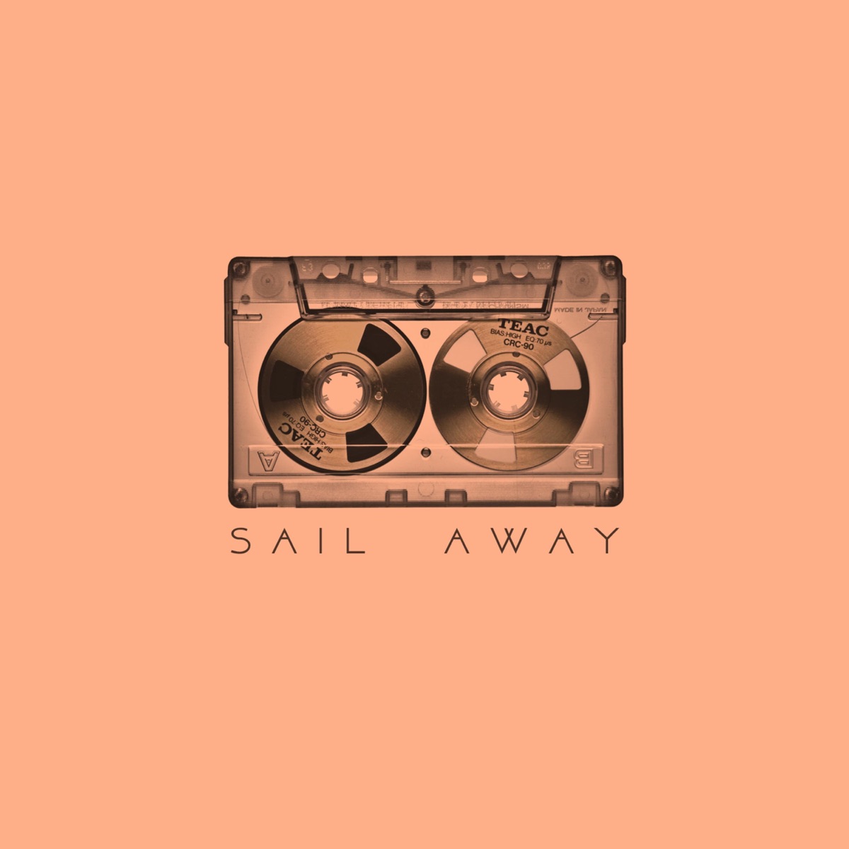 Sail Away (feat. Young Lungs) - Single by Darko album cover